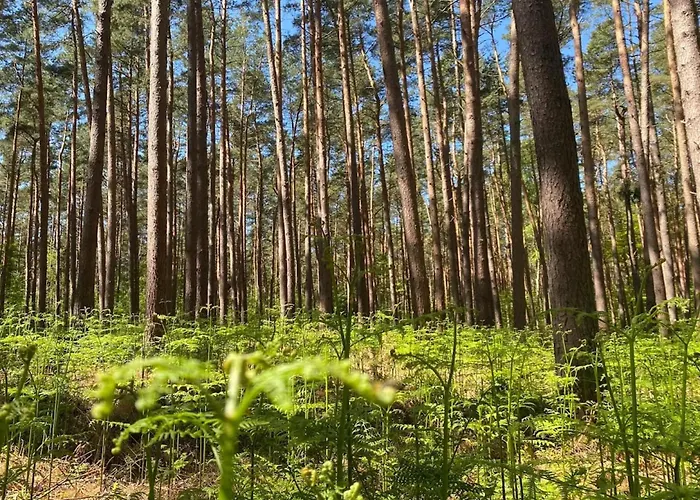 בית נופש Ferienhaus, Fuhlendorf (Mecklenburg-Vorpommern)